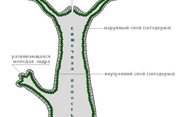 Как восстановить доступ к аккаунту кракен