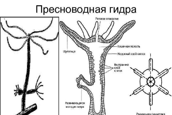 Сайт кракен kraken